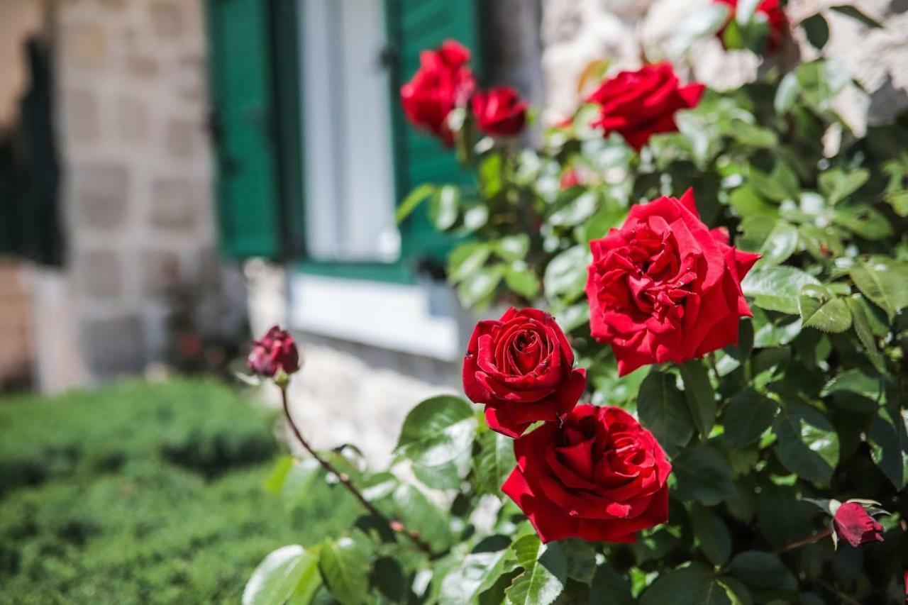 Villa Silentio, Complete Privacy Near Makarska Podgora Ngoại thất bức ảnh
